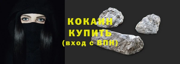шишки Дмитров