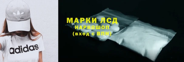 шишки Дмитров