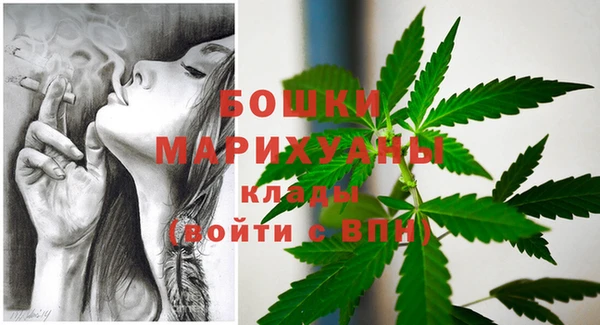 мдпв Дмитровск