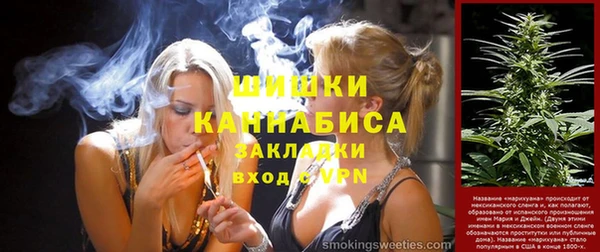 мдпв Дмитровск