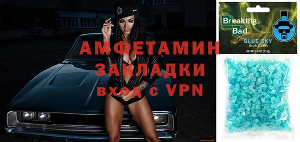 шишки Дмитров