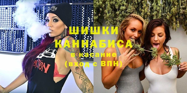 шишки Дмитров